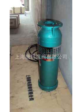 QSPF220-5-5.5不锈钢喷泉泵，QSP220-5-5.5铸铁喷泉专用潜水泵