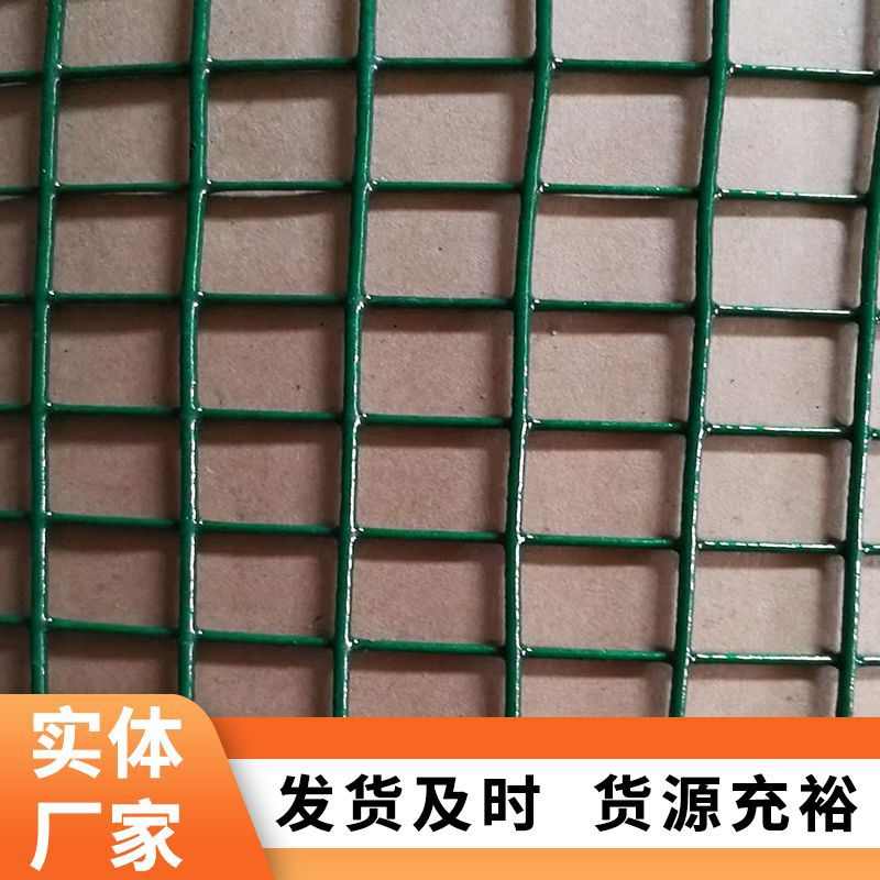 养殖用网小孔浸塑电焊网绿色卷网养鸡养鸭荷兰网圈地用网田园垂钓