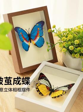蝴蝶标本相框创意桌面立体摆台画生日礼物展示挂画小众客厅摆件