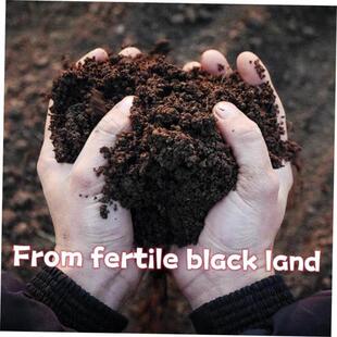 Potting soil organic soil, succulent soil, vegetable soil
