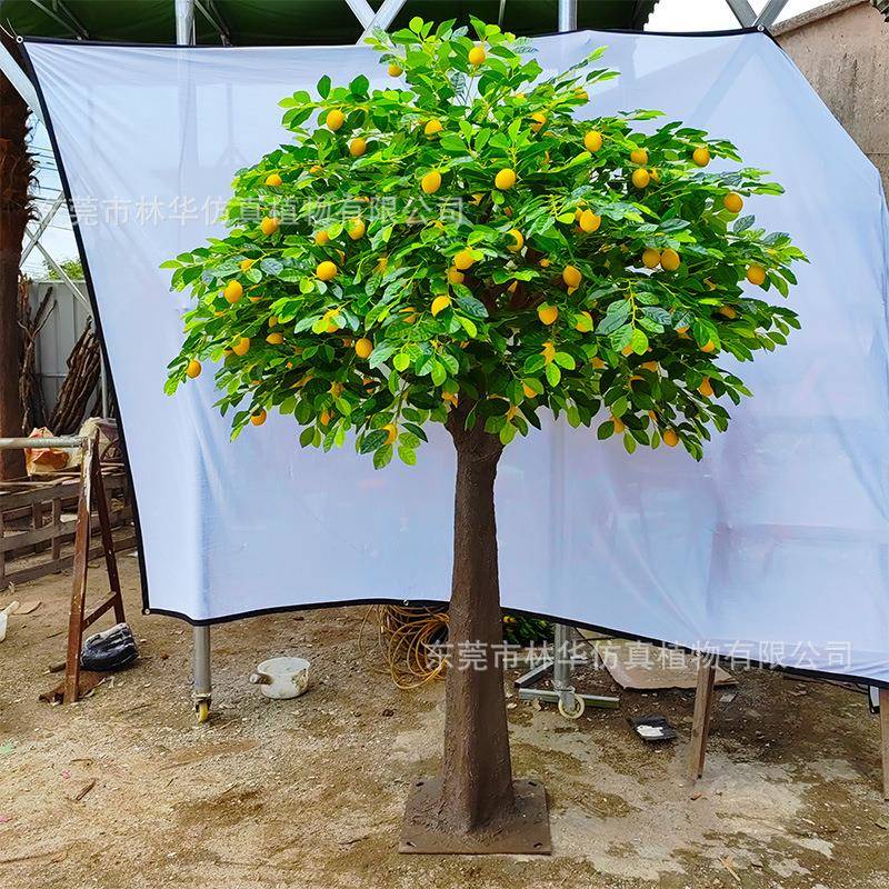 仿真柠檬树景观仿真树大型落地假树家居软装橱窗摆件摄影道具假树