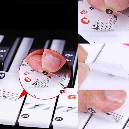 88/61 key color piano letter notes stickers keyboard hand ro