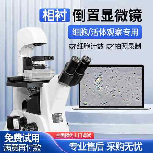 奥斯微（AOSVI）科研实验倒置相衬生物显微镜BX22P-180