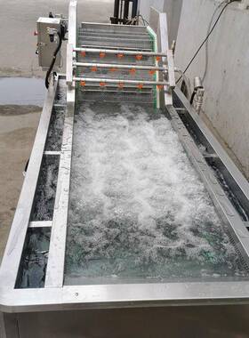 全自动气泡清洗机多功能果蔬喷淋式洗菜机不锈钢网带式果蔬清洗机