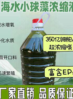贝类保苗石斑鱼孵化水产养殖高EPA液小球藻浓缩液拟微绿球藻