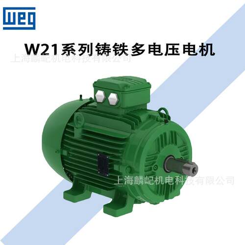 替代电机OCG-7340.25KW230V