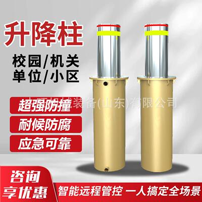 全自动升降柱智能遥控升降柱SJZ-168全自动升降柱