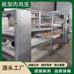 大层叠自动化养殖设备肉鸡养殖鸡笼框架式鸡舍养殖场镀锌立式机械