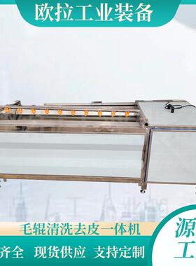 欧拉根茎毛辊清洗设备 净菜加工流水线 大姜毛刷去皮清洗机