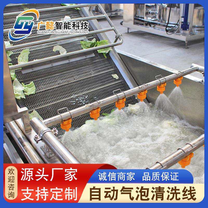 用供应商气泡清QGM洗机土豆菌菇蔬全自动清洗 线 果菜蔬清洗设备