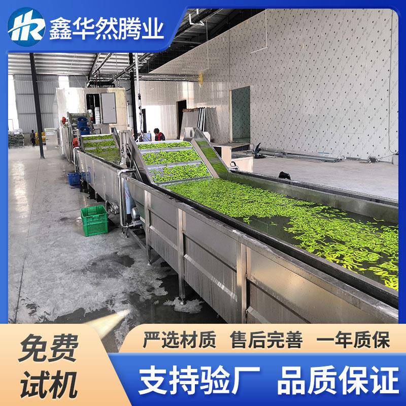 毛豆荚豌豆粒速冻加工大型冷冻设备玉米粒西蓝花预处理加工设备