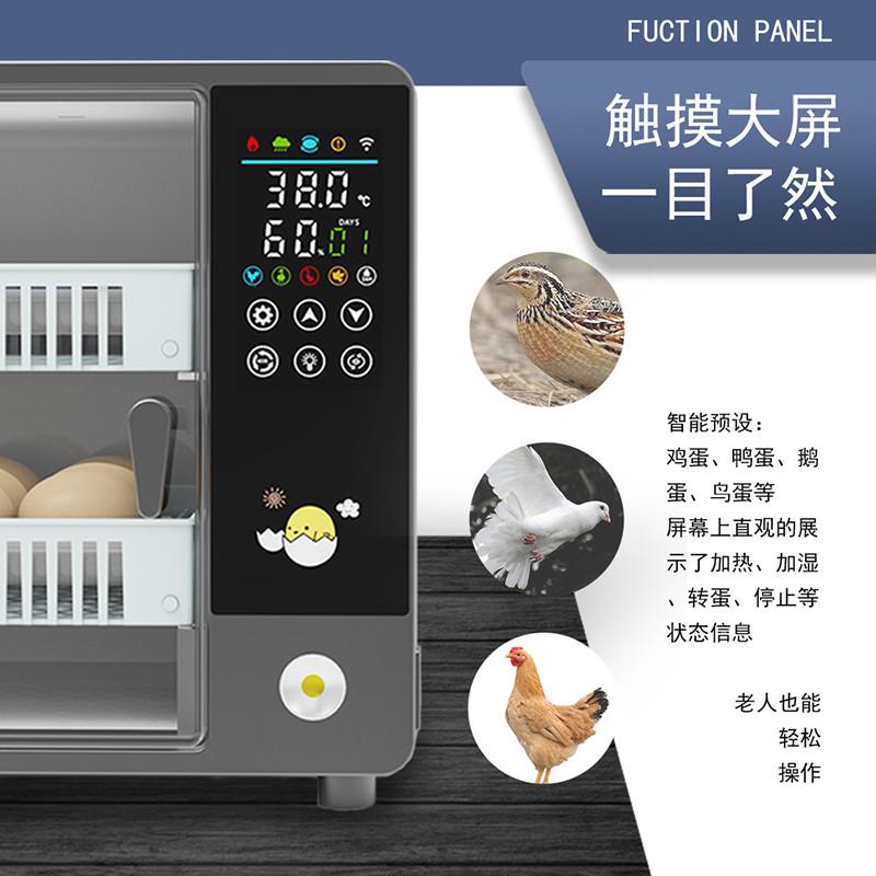 跨境外贸批发全自动孵化器小型家用鸡蛋孵化机智能芦丁鸡孵蛋器