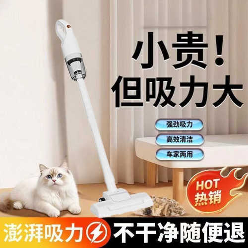 吸尘器小型家用无线吸尘器家用超强吸力手持小型吸尘机宠物毛发