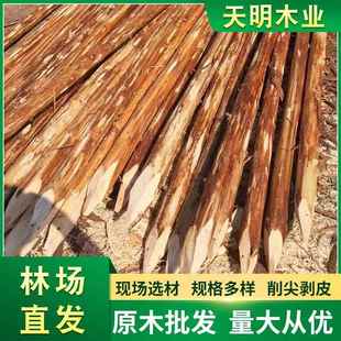 防汛木桩防工地汛河道打桩木443河堤洪防木土桩建工程绿化支撑松