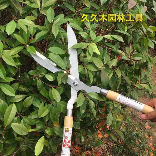 新款直销木柄草坪剪 修篱剪 绿篱剪 园艺大草剪绿化园林篱笆冬青