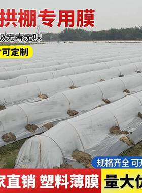 新 小拱棚专用膜塑料膜透明加厚种菜膜白色薄膜农用保温保湿防霜