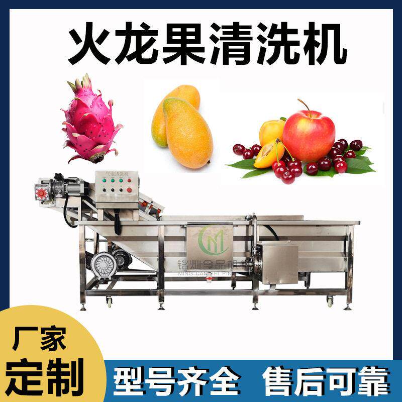 火龙果清洗机芒果柚子蓝莓释迦果清洗机果蔬气泡清洗机