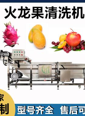 火龙果清洗机芒果柚子蓝莓释迦果清洗机果蔬气泡清洗机