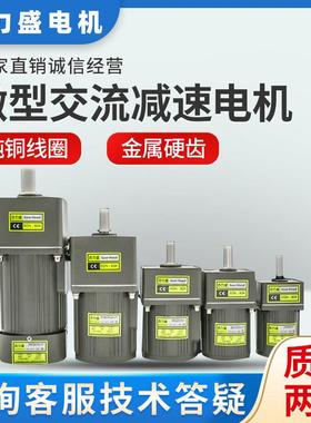 6W15W25W40W60W120W180W200W250W300W400W齿轮调定减速变频电机
