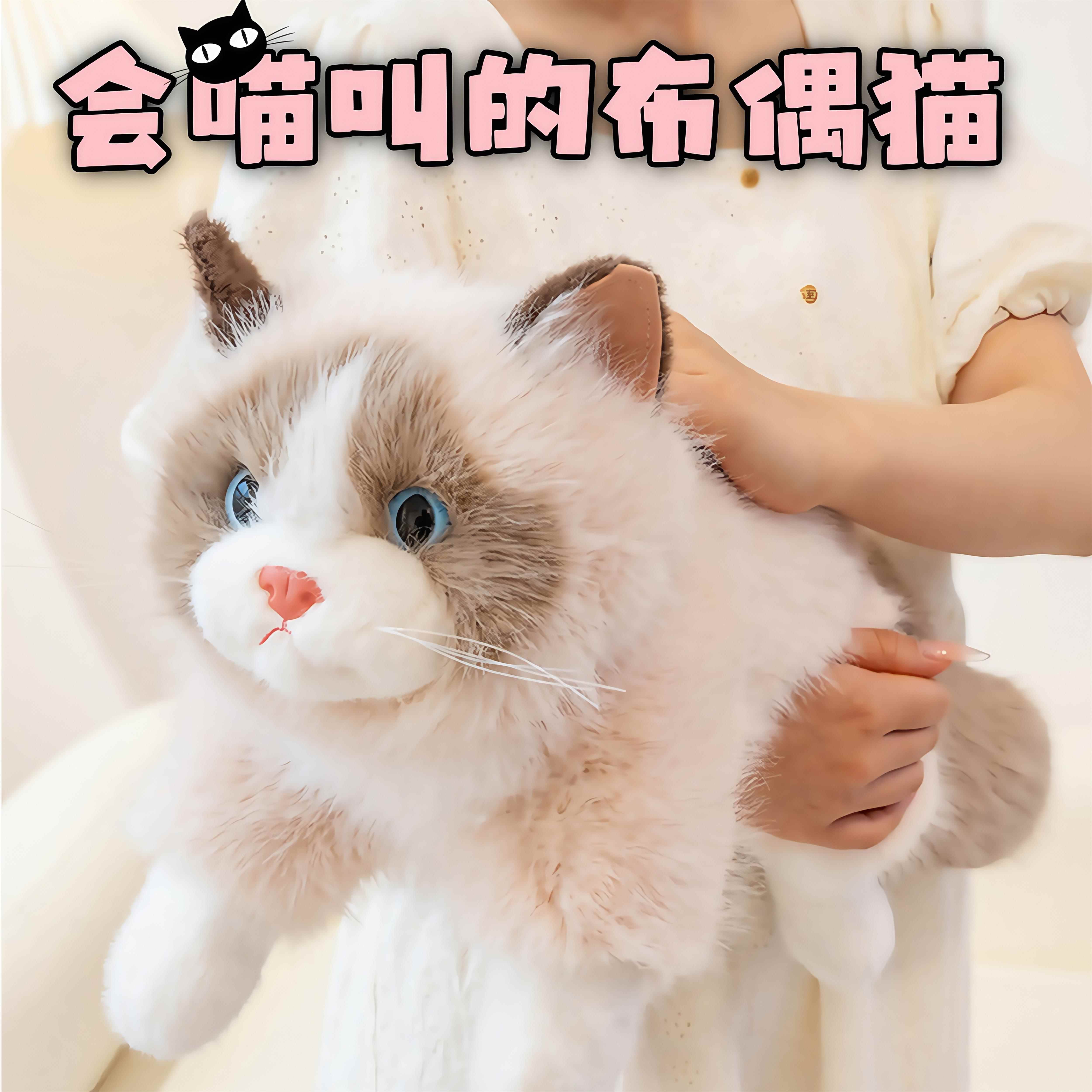 仿真布偶猫咪玩偶生日礼物送朋友女生闺蜜女朋友实用的高级感娃娃