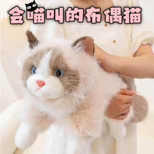 仿真布偶猫咪玩偶生日礼物送朋友女生闺蜜女朋友实用的高级感娃娃