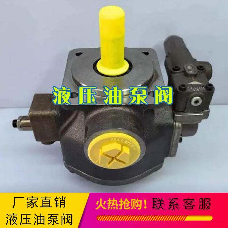 代替力士乐液压帮浦PV7-1A/10-20RE01MC0-10注塑机变量叶片泵 油