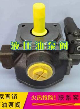 代替力士乐液压帮浦PV7-1A/10-20RE01MC0-10注塑机变量叶片泵 油