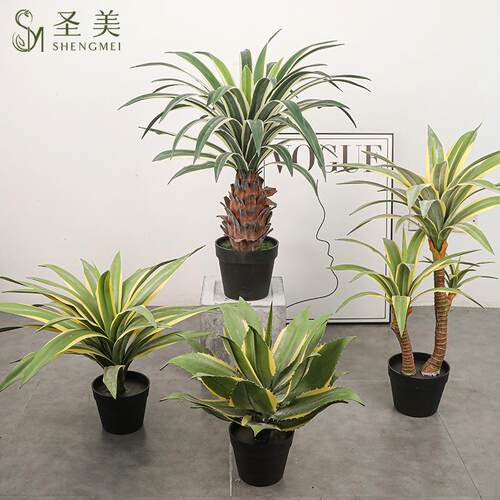 仿真龙舌兰白SM边金边树剑麻剑大兰树假兰客厅装饰丝树型植物盆景