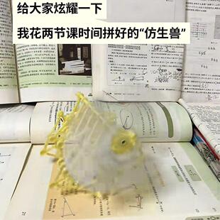 风力仿生兽diy拼装风能动力车科学实验室创意机械兽风力仿生兽