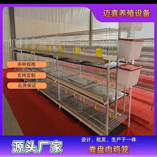 粪盘肉鸡笼镀锌工艺耐腐蚀耐用