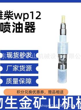 宽体车配件潍柴原厂发动机配件潍柴wp12喷油器编号612640090001