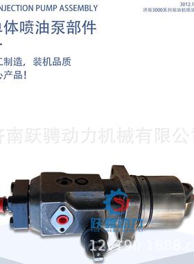 济柴B4AG160H驰动3012.12D.00B A12V190ZL单体喷油泵部件21200001