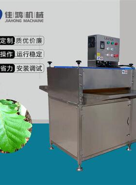 全自动粽子粽叶清洗机 苇叶箬竹叶冬叶循环清洗机 洗粽叶机器佳鸿