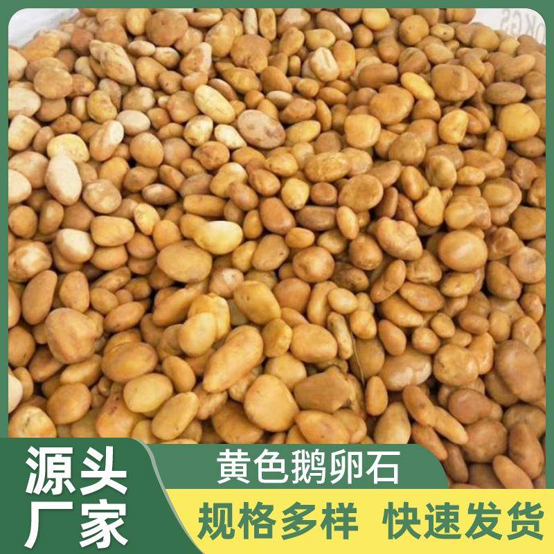 黄色鹅卵石黄色雨花石 园林景观鹅卵石原石鱼缸装饰铺路石头