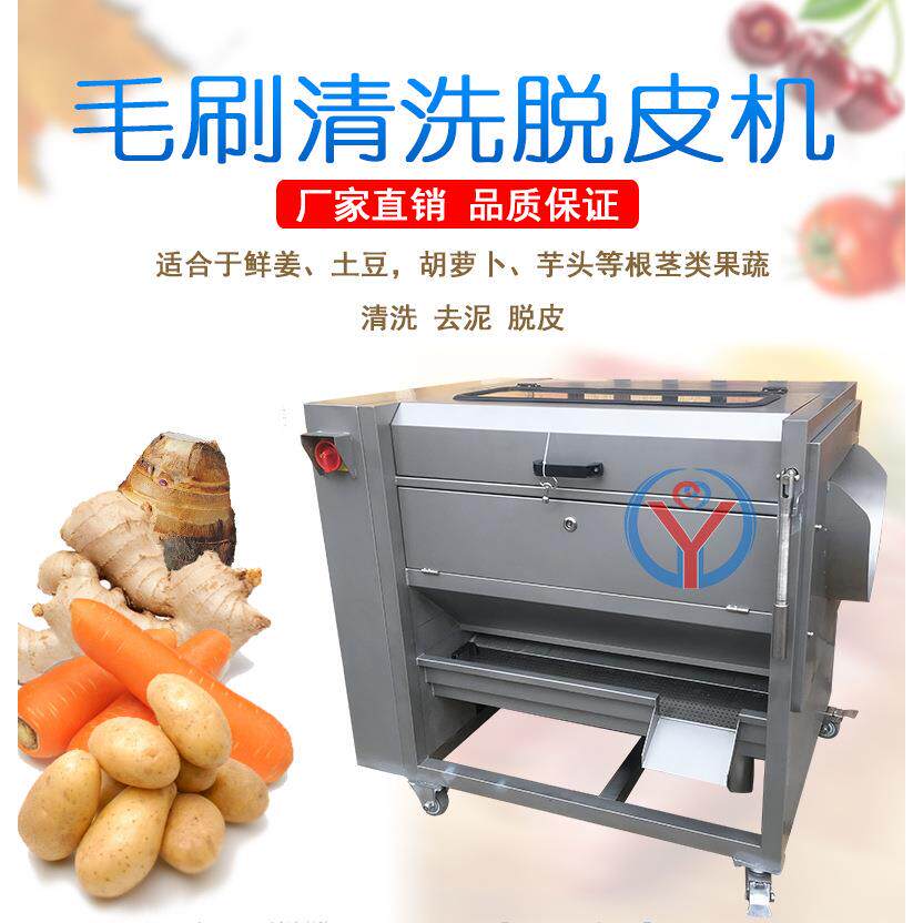 广州新式鲜姜人参清洗去泥药材胡萝卜毛刷清洗去皮去泥机80