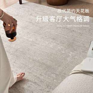 地毯客厅面意垫式极简防水耐易脏打理卧室沙发地大积加厚天sbsr71