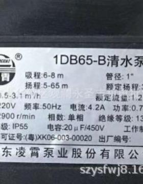 广00东凌霄1DB351DB451DB65-B清水泵家5用抽水泵PKN330W5W75W