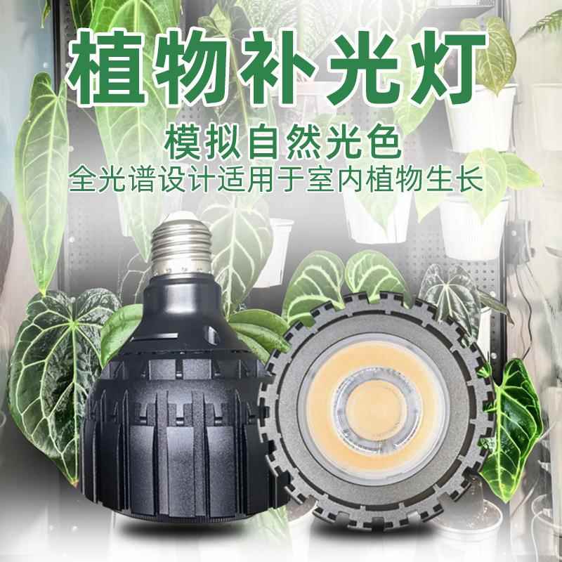 透镜款LED全光谱植物生长灯热值鹿角蕨龟背彩芋绿植花卉补光灯
