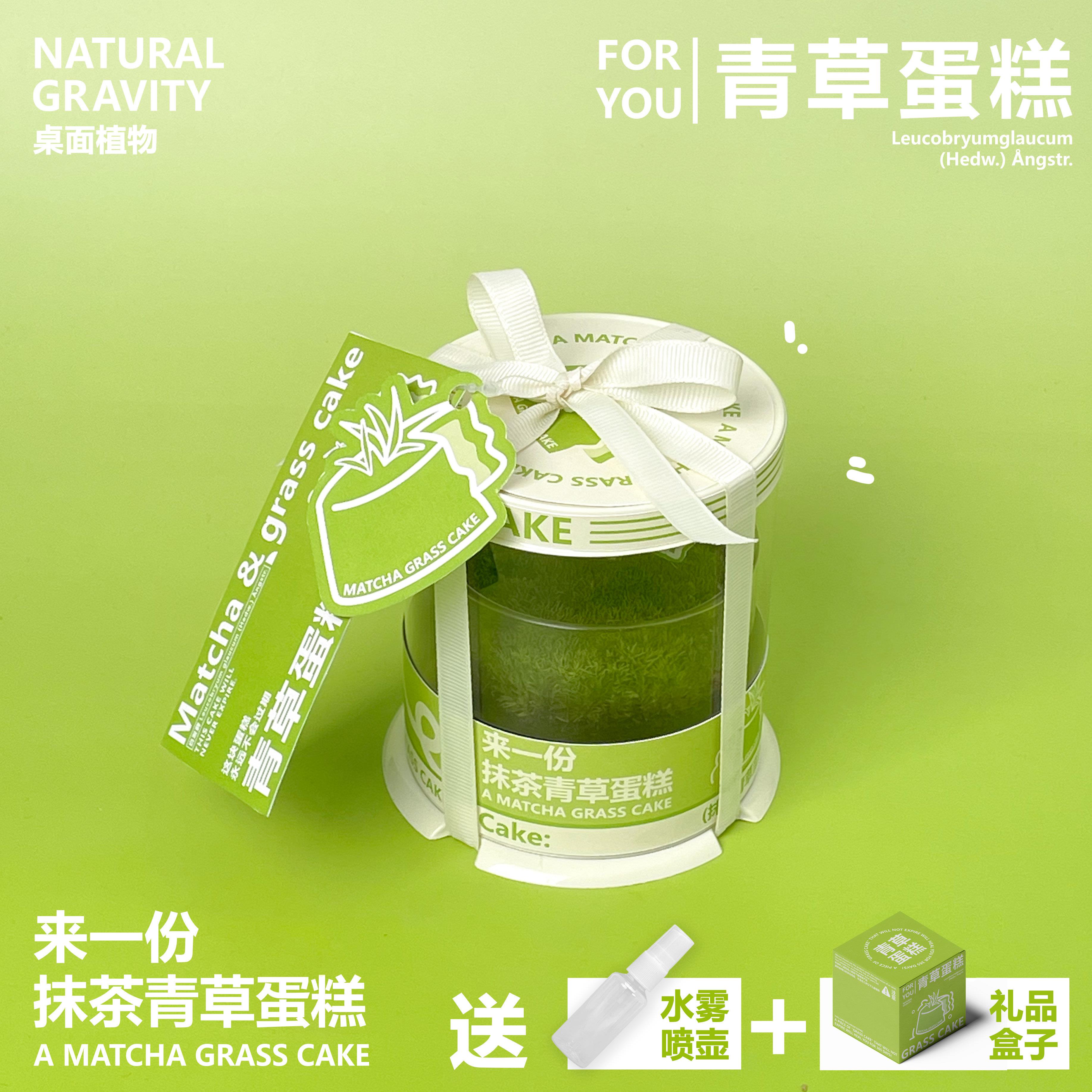 自然引力-青草蛋糕鲜活苔藓抹茶小蛋糕2寸盆栽生日礼物送人礼品