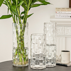 花瓶富贵竹专用玻璃插花摆件，客厅水培直筒落地竹，子龙柳水晶马醉木