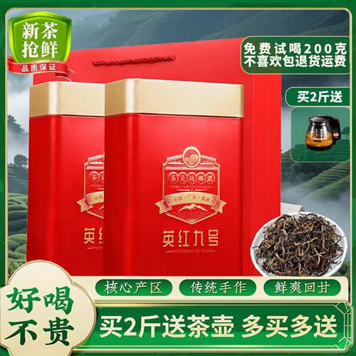 2025新茶叶英红九号一级红茶正宗英德浓香花香型黄芽散礼盒装500g