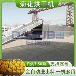 网带野菊花烘干设备全自动金丝黄菊杀青烘干全套设备菊花烘干机
