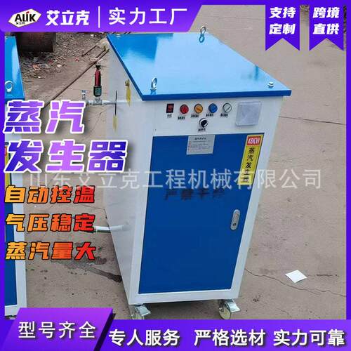 电加热生蒸P汽发生器1468435 L智能控制 自动稳定供汽C 燃气锅炉