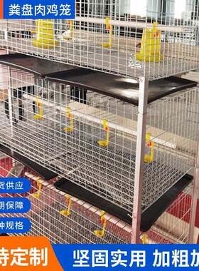 粪盘肉鸡笼养殖鸡笼家用家禽镀锌农用养鸡棚用四层机械蛋鸡高效