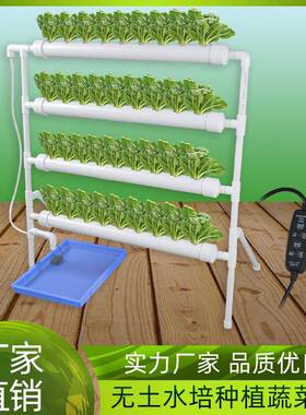 广东德力生产管道水培种植机跨境电商无土栽培阳台无土蔬菜种植机
