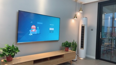 不吹不黑对比:电视海信HZ65E52A和长虹65A4U哪个好，差别大不大？