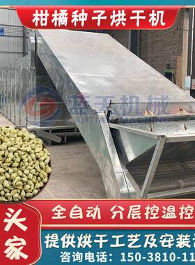 柑橘种子网带烘干机大型桔子种子柑桔干燥机智能橘子皮烘干设备