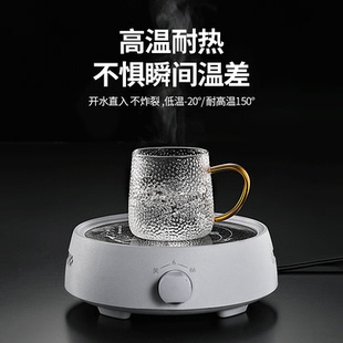 玻璃杯家用高颜值客厅待客杯子耐高温水杯家庭喝水茶杯带把套泓纳