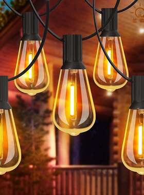 PVC防水ST38串灯220V电压输入养殖场夜间照明灯串线防碎LED灯泡