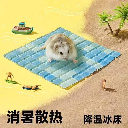 天猫正品夏季仓鼠冰垫降温用品夏天散热板水晶兔子凉席铝板冰床金